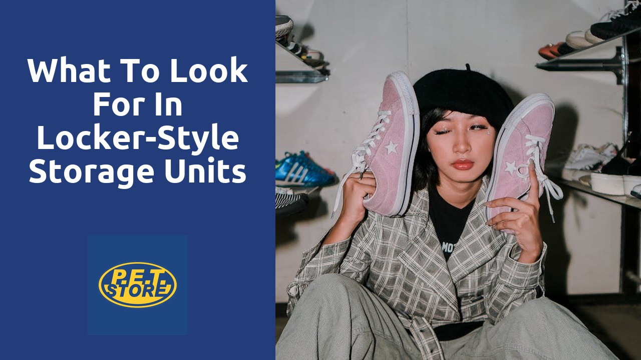 What to Look for in Locker-Style Storage Units